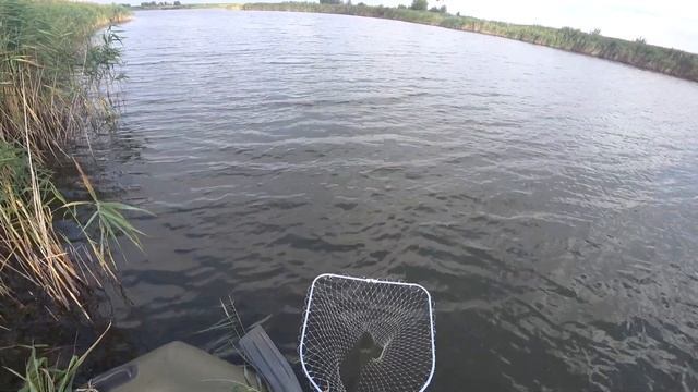 Карп (сазан) на поплавок с лодки в сентябре смотреть онлайн