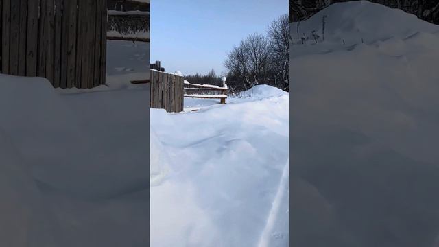 Поездка в деревню/парение в бане/рассказ и планы по восстановлению дома/серия 1. смотреть онлайн