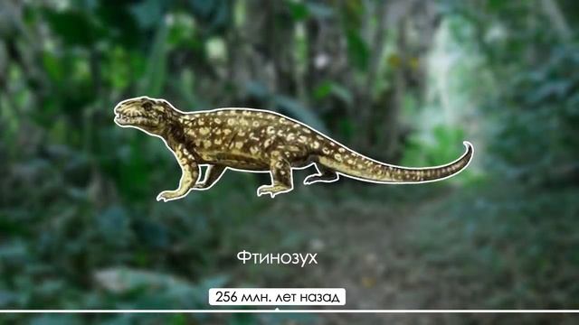 ЭВОЛЮЦИЯ ЧЕЛОВЕКА (ОТ КЛЕТКИ ДО ЧЕЛОВЕКА РАЗУМНОГО) смотреть онлайн