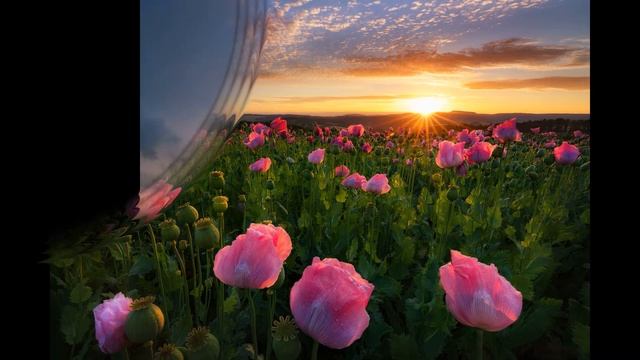 Хорошие люди похожи на тёплое солнце....Ирина Самарина-Лабиринт смотреть онлайн