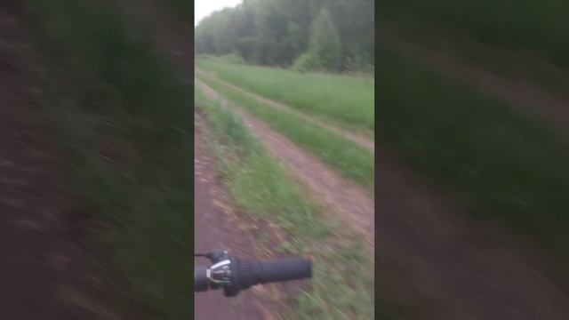 Старый Юрловский тракт на Велосипеде.Велопрогулка.