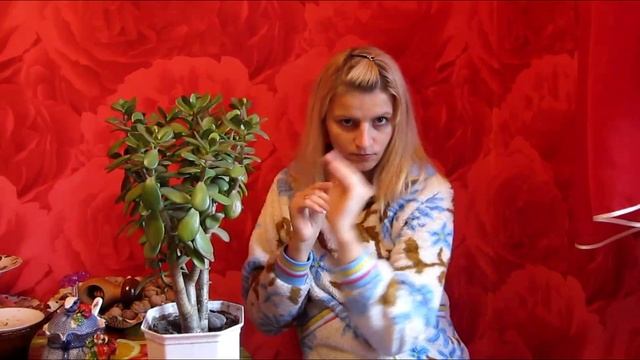 Лечебный цветок [ТОЛСТЯНКА] смотреть онлайн