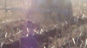 Щелевание почвы после подсолнечника без вспашки. Степанов М.А.