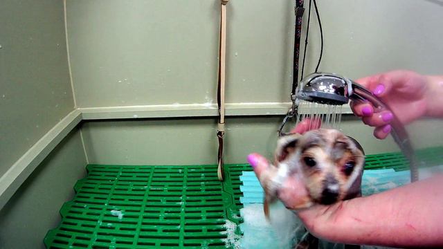 Комплексный уход. смотреть онлайн