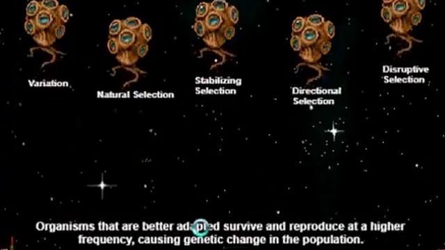 Angry aliens evolution space invaders game playing level - natural selection смотреть онлайн