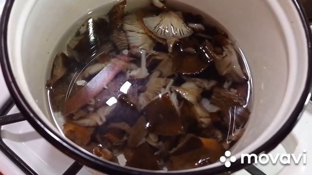 Варим грибы "опята", в заморозку. смотреть онлайн