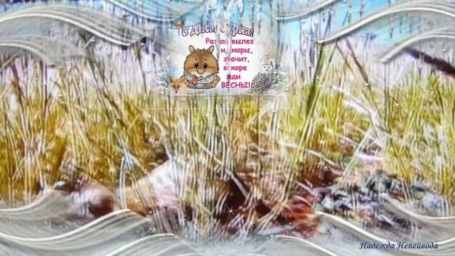 День сурка! Значит скоро весна! смотреть онлайн