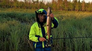 УДАЧНОЕ УТРО НА РЫБАЛКЕ, РЫБА СТЬ И КЛЁВ ЕСТЬ А СЕВЕРНАЯ ПОГОДКА ПРОСТО ШИКАРНАЯ!