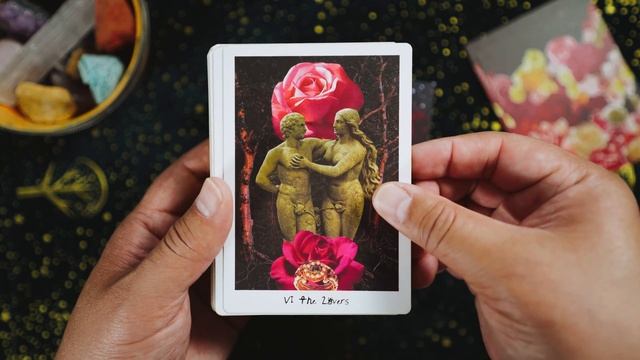 The Lioness Oracle Tarot Flip Through and Review смотреть онлайн