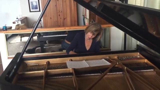 Piazzolla Milonga del Angel played by Lisa Spector смотреть онлайн