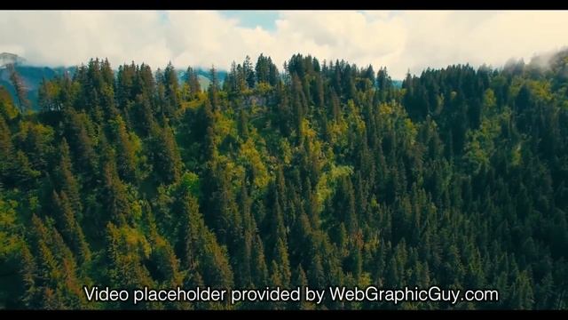 Stock video placeholder for website demo use смотреть онлайн