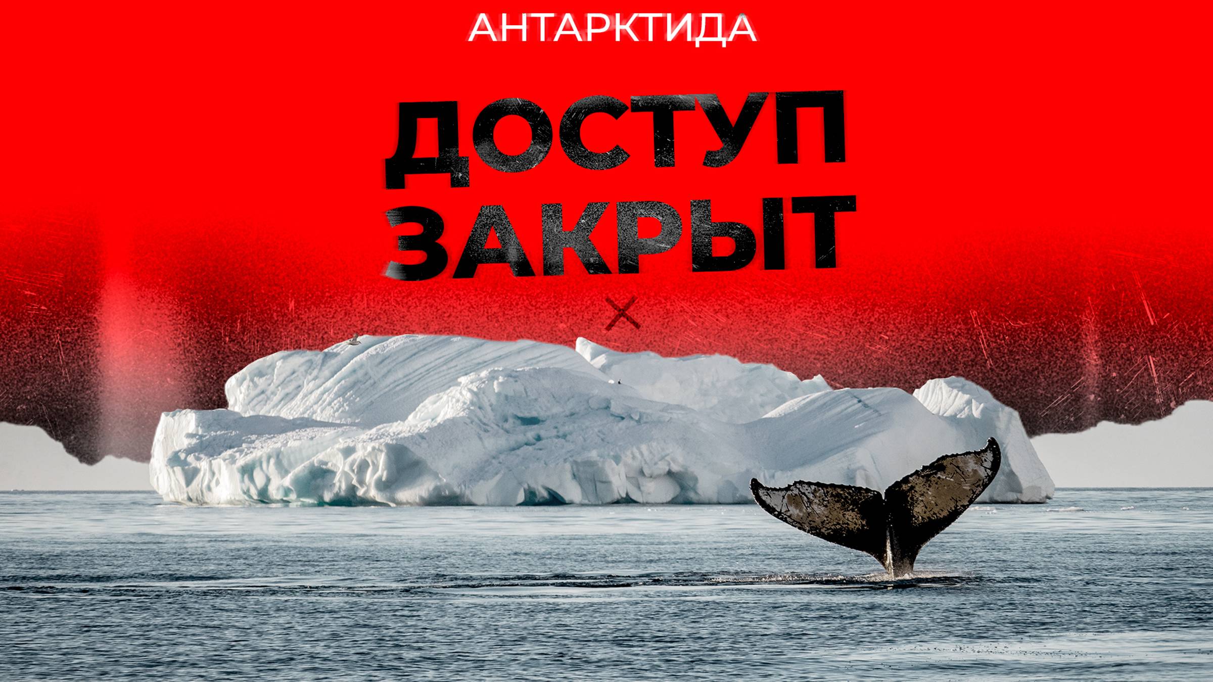 Почему всем запрещено исследовать Антарктику | Факты смотреть онлайн