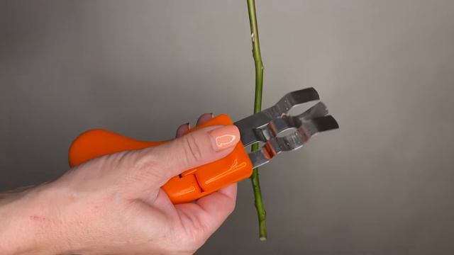 Rose thorn remover stripper flower stem cleaner смотреть онлайн