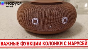 Самые важные функции колонки с Марусей