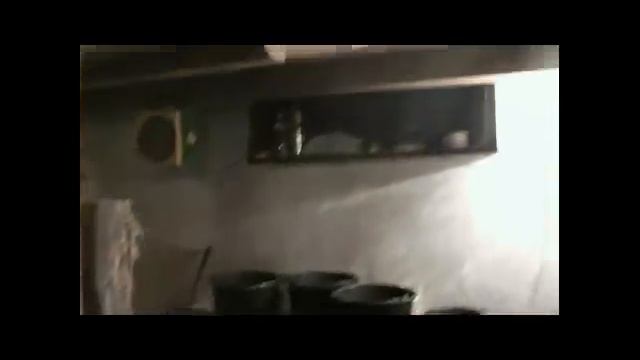 Поездка в Тавду за козлятами часть 2. смотреть онлайн