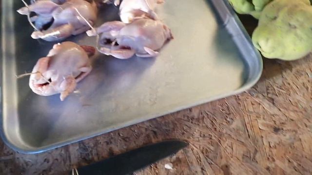 Копчёная перепёлка в электропечи попытка №1 смотреть онлайн