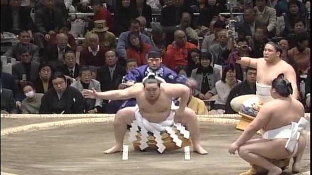 Dohyo iri, Yokozuna Asasyoryu смотреть онлайн