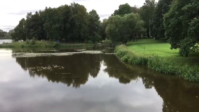Стрельна и окрестности смотреть онлайн
