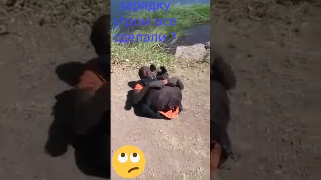 Зарядка мила и Алёна могут это сделать и очень много и легко но не всем так удачно удаётся только н смотреть онлайн