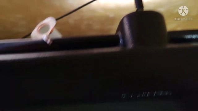 Террариум из аквариума. Минусы и лайфхаки. смотреть онлайн