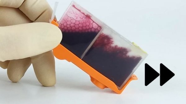 HP 655 заправка картриджей. Используйте ПЗК HP 655.