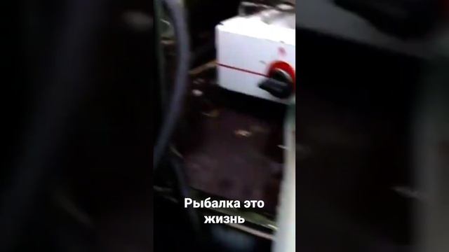 рыбалка это тожэ жизнь, технопланктон на толстолобо СК. смотреть онлайн