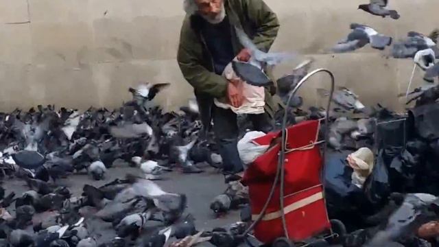 Homeless Man feeding pigeons Paris France outside of the Pompidou Museum of Modern Art MOMA смотреть онлайн