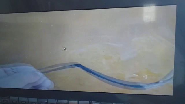 Сын поймал за хвост змею смотреть онлайн