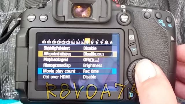 funny videos - canon eos 70d bug смотреть онлайн