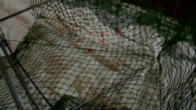 Как сделать раколовку.Самую эффективную,компактную,гламурную. смотреть онлайн