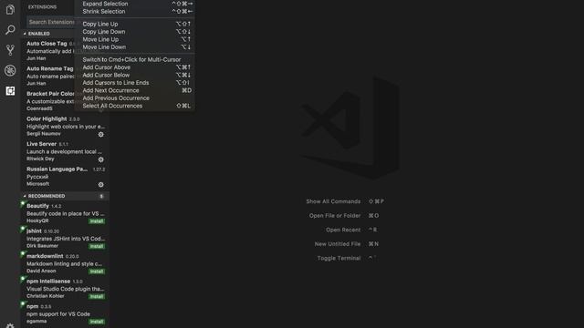 Как изменить язык Visual Studio Code смотреть онлайн