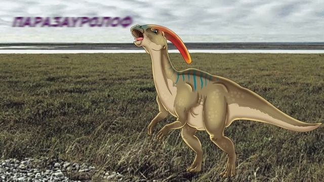 Динозавры Супер Макси ДеАгостини (Dinosaurus Super Maxx DeAgostini) обзор от Зверушки на Опушке смотреть онлайн