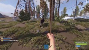 Стрим на Magic Rust!!