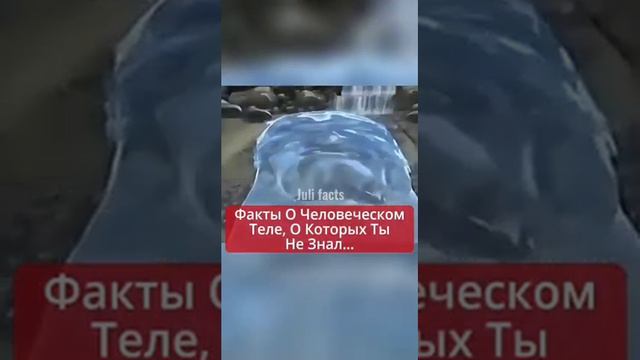 У этих людей был лучший день в жизни!? смотреть онлайн