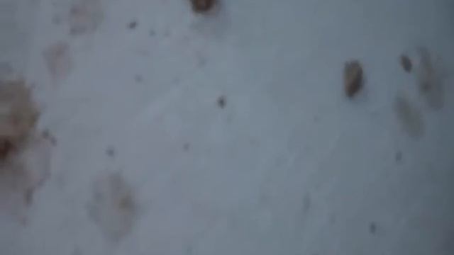 "Маляры-штукатуры" п. Шлюзовой ул. Никонова 14 смотреть онлайн