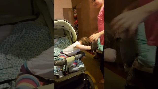 Хохотун смотреть онлайн