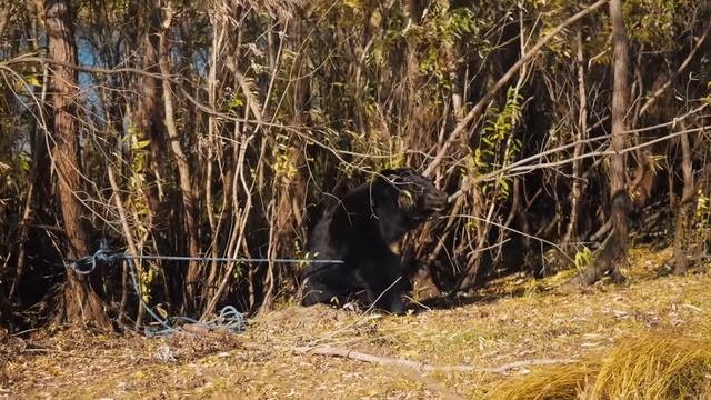 КТО ТАКАЯ ВЕРОНИКА? | VOLGA BAITS TEAM смотреть онлайн