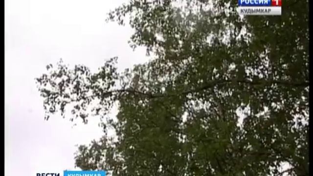 Клещи озверели смотреть онлайн