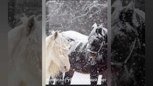 Nikolay Rubtsov "First Snow" Николай Рубцов "Первый снег" смотреть онлайн