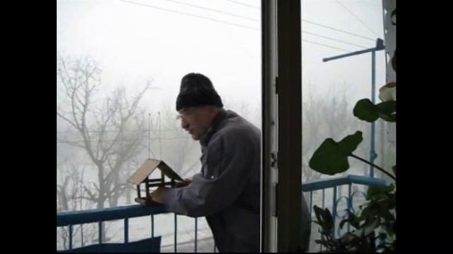 Зимняя кормушка для птиц. Кормушка на балконе смотреть онлайн