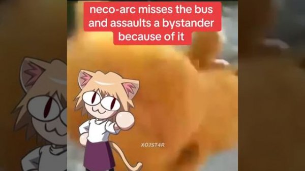 neco arc post