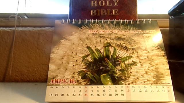 Answers to Questions April 2021 смотреть онлайн