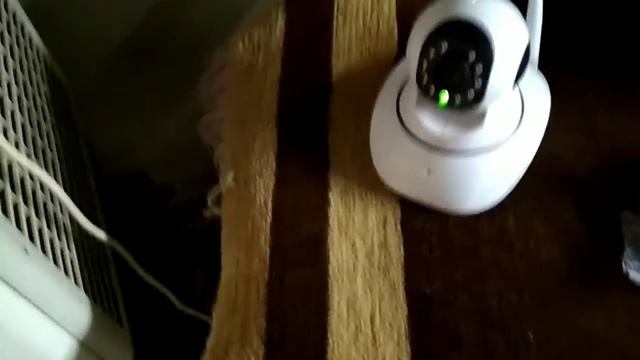 વાયરલેસ નેટવર્ક કેમેરા смотреть онлайн