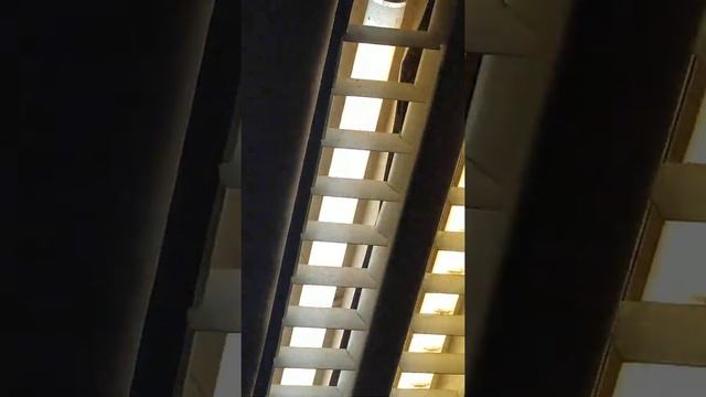 Старые люминесцентные светильники смотреть онлайн