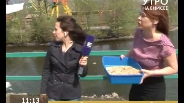 Прямое включение. День перелетных птиц в парке флоры и фауны «Роев ручей» смотреть онлайн