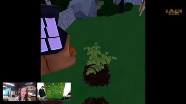 Beginner's Guide to Gardening - Loam Sandbox