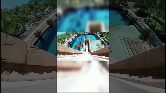 Самые Страшные Водные Горки в Мире!? #shorts #вода #горка #акула смотреть онлайн
