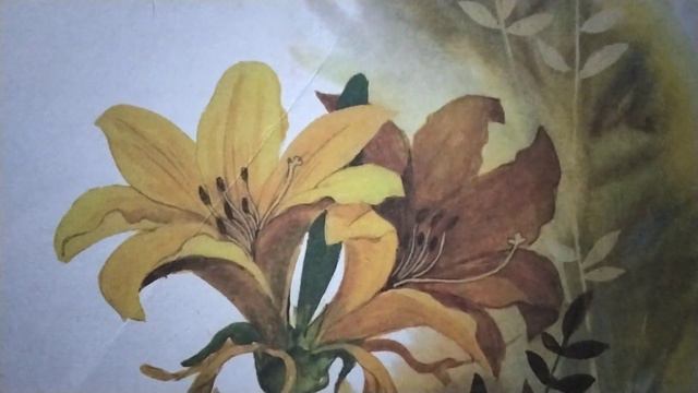 Лилейник.🏵Из 📖 А. Тамбиева:"Зачем луку луковица?"( звук ставить выше) смотреть онлайн