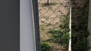 Как крепить сетку рабица? ( How to mount chain-link fencing?)