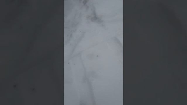 прогулка на Зирекле после ледяного дождя, февраль 2021(1) смотреть онлайн